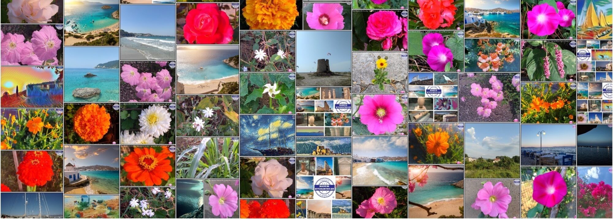 MadeinMycountry covers the planet!! Welcome to MadeinMycountry! Celebrate and Support Local Culture with MadeinMycountry MadeinMycountry is a global platform that celebrates and supports local history, culture, art, and nature conservation efforts. For two decades